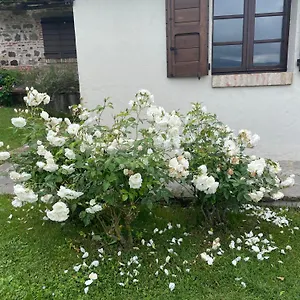 Romantico Casa di campagna